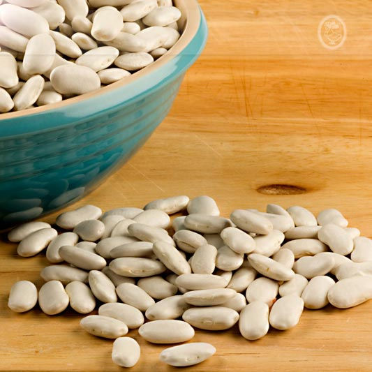 french coco tarbais beans label rouge