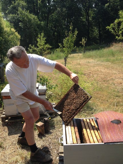 2013-07-22 12.23.54 YES