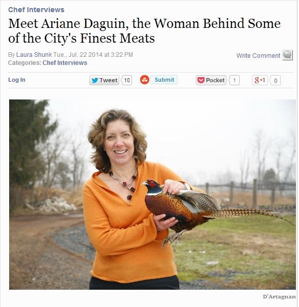 Village Voice Screen Shot