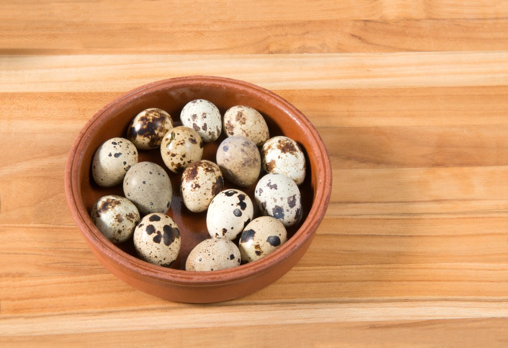 Quail Eggs_7