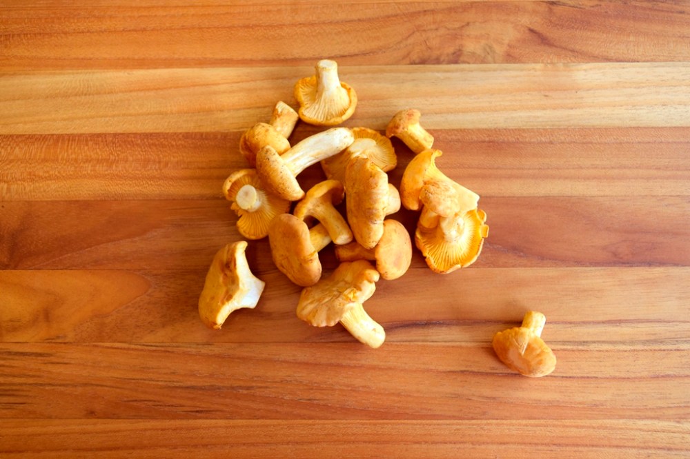 ????????????????????????????????????