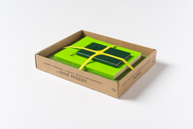 reneredzepiaworkinprogress8