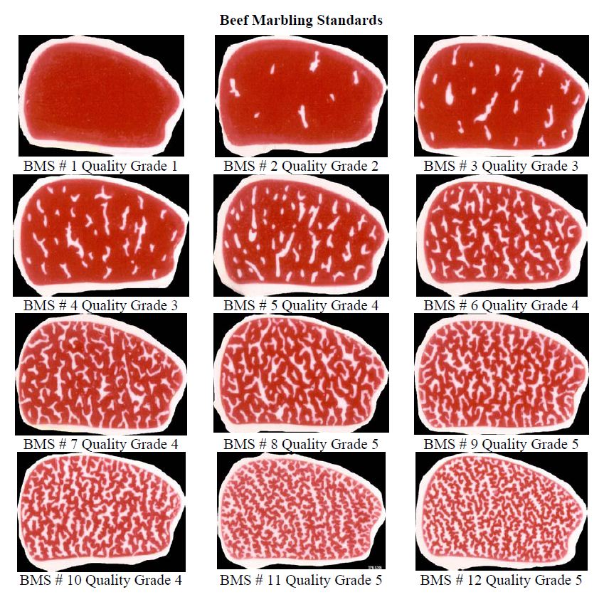 wagyu-beef-chart