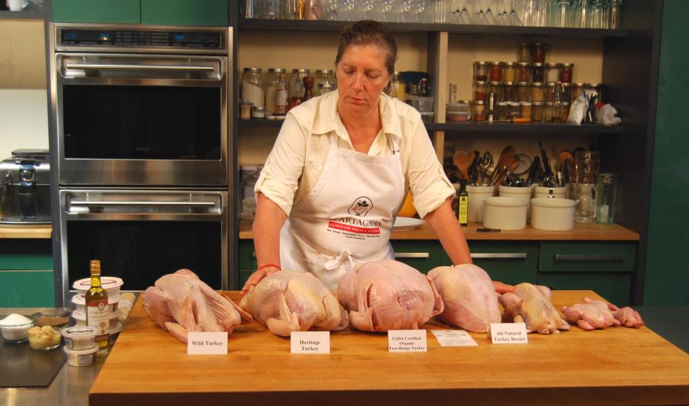 ariane-with-turkey-array