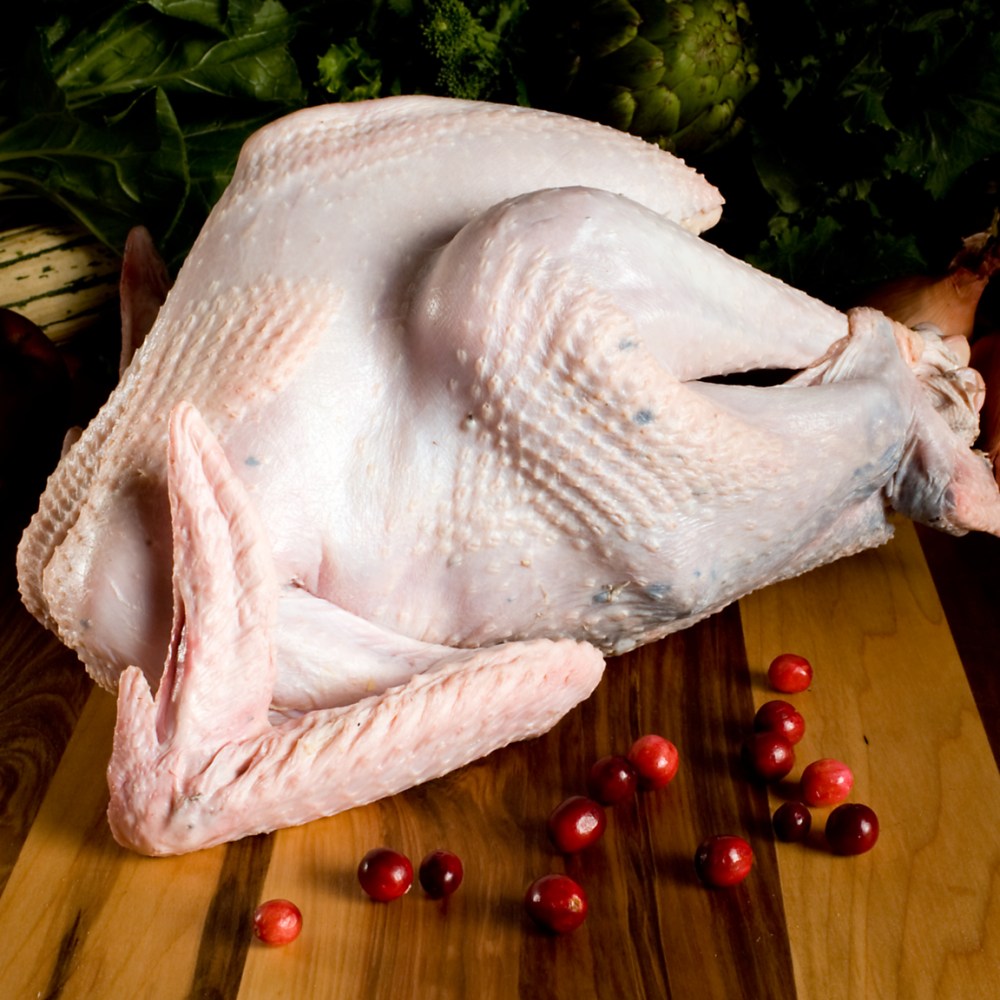 ftuwi002-1_va0_wild-turkey