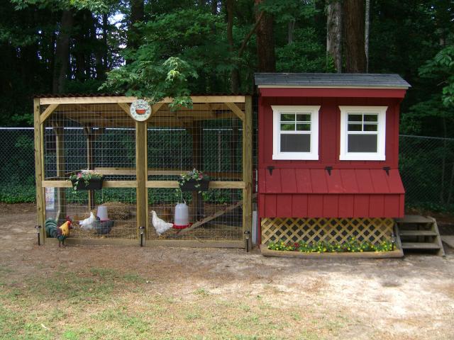 chicken coop.jpeg