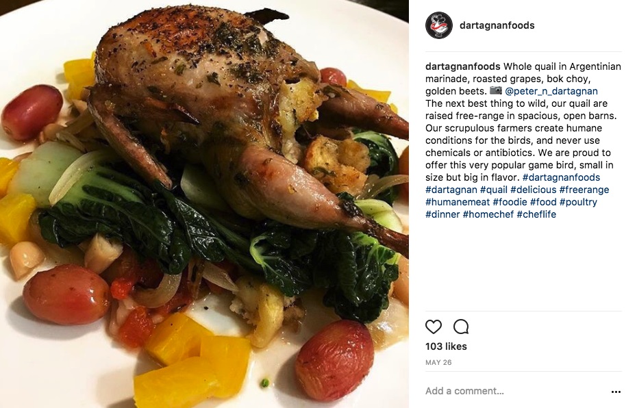 IG Quail Peter-n-dartagnan