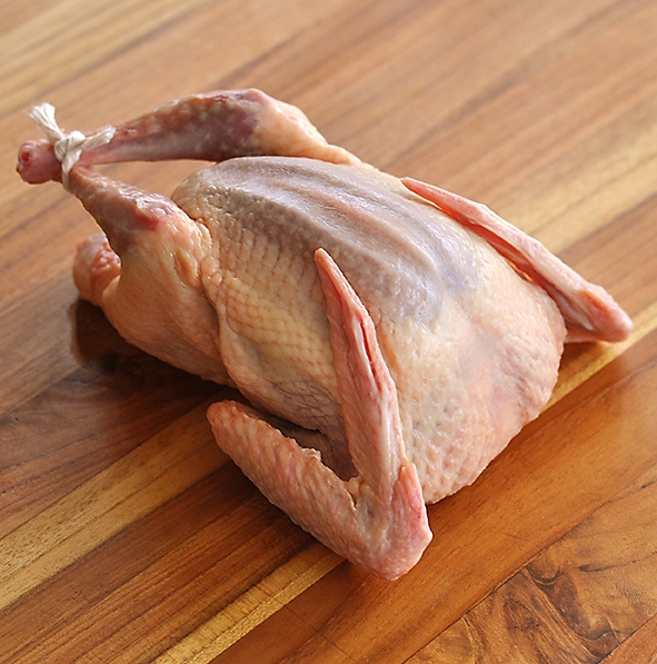 Whole Squab.jpg
