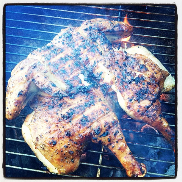 David Reber Chicken Under a Brick Flickr.jpg