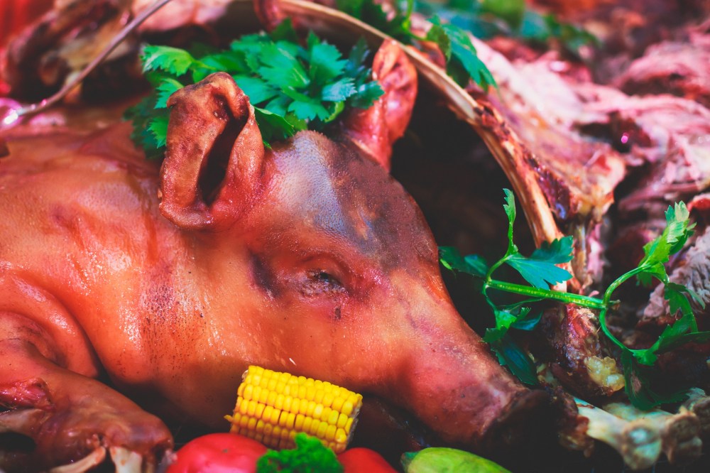 Whole Roasted Pig Adobe Stock