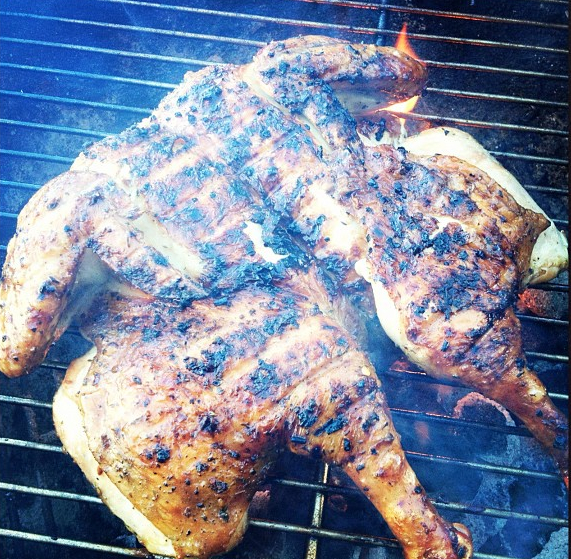 David Reber Chicken Under a Brick Flickr