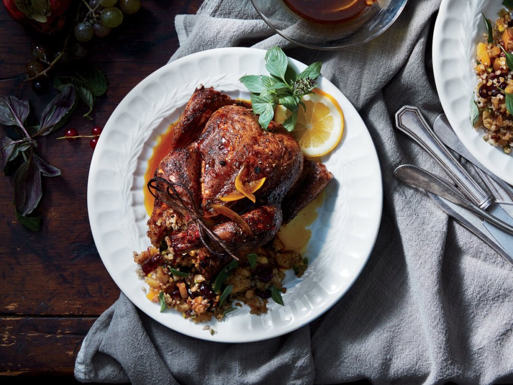 Working Title: Feature - Better Birds / Published Title: Lights