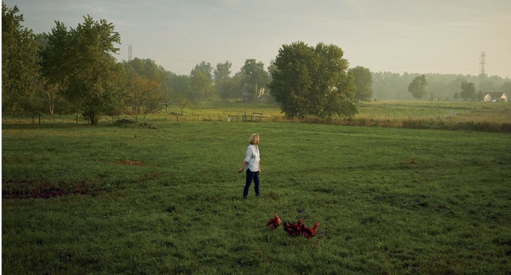 Inc Magazine Ariane Profile 9-2019