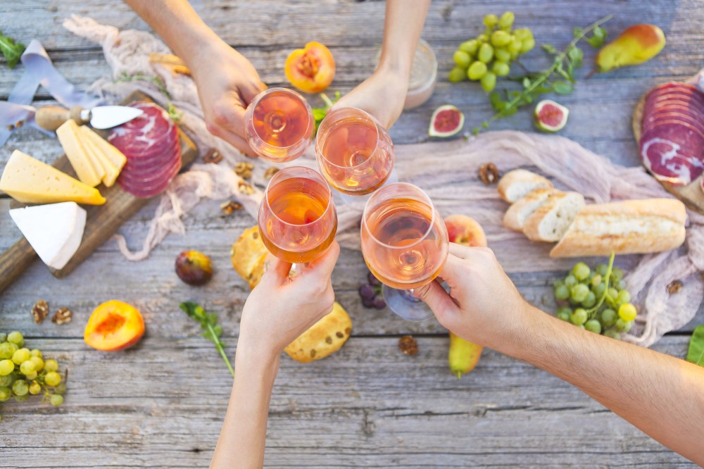 Young people making toast at picnic with rose wine