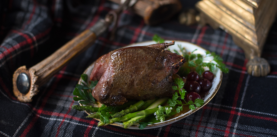 Deana Sidney Wood Pigeon with Gooseberry.jpg